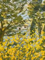 Michele Cascella (1892-1989) - Ginestre in toscana, Antiek en Kunst