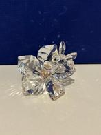 Swarovski - Figure - Hommel en ijsbeer (2) - Cristal