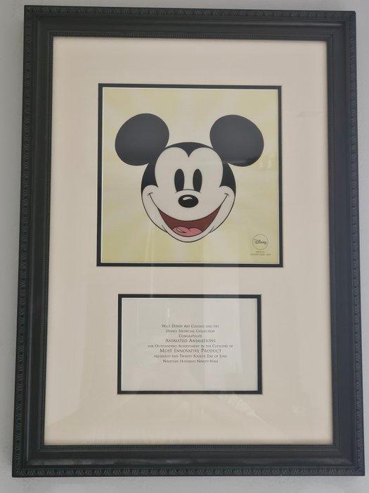 Disney - Mickey Mouse, Collections, Disney