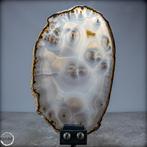 Natuurlijke agaat schijf op stand- 791.91 g