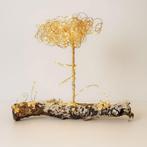 Renata Giannelli - FIORE