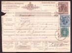 Koninkrijk Italië 1886 - 20 cent Postpakketten op slip -, Gestempeld