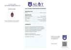 Geen Reserve - ALGT Gecertificeerd - Grote Natuurlijke, Verzamelen, Mineralen en Fossielen