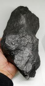 Prachtige Saint Aubin meteoriet, FRANS. IJzer meteoriet -