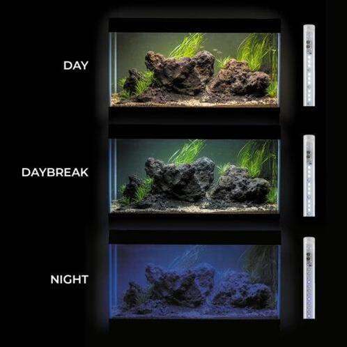 Leddy Tube DAY&NIGHT 7watt 273mm (15W T8), Dieren en Toebehoren, Vissen | Aquaria en Toebehoren, Nieuw, Ophalen of Verzenden
