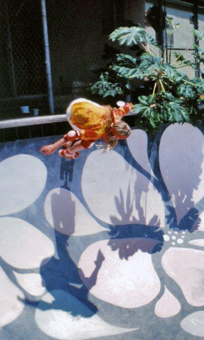 Stacy Peralta Flower Bowl ( 1978 ) Skateboard History, Collections, Collections Autre