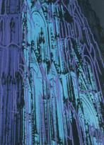 Andy Warhol - Andy Warhol - Cologne Cathedral (blue) -, Antiek en Kunst