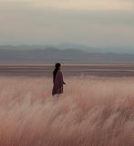 Adrian Voss - Minimal Presence XXVII