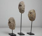Masques en corail fossile - Atoni - Indonésie (Sans Prix de