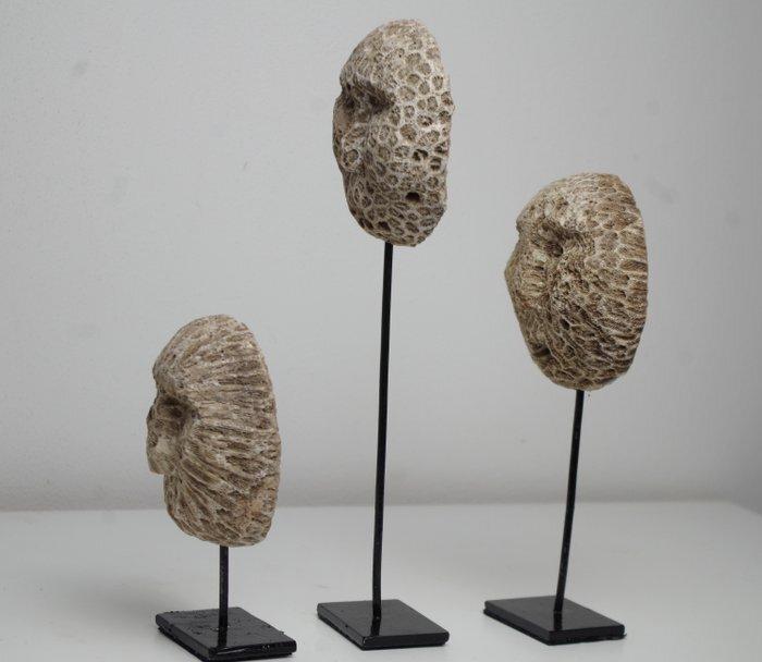 Masques en corail fossile - Atoni - Indonésie (Sans Prix de, Antiek en Kunst, Kunst | Niet-Westerse kunst