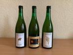 Cantillon - Vigneronne 2023, Geuze1900 / 2023, Fou - Foune, Verzamelen, Nieuw