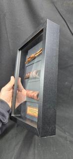 Collection de 3 piercings pour le nez Asmat - Bone Bipane