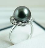 Sans Prix de Réserve - Bague - Or blanc 18 carats - Perle, Handtassen en Accessoires, Nieuw