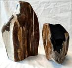 Versteend hout - Gefossiliseerd hout, Verzamelen