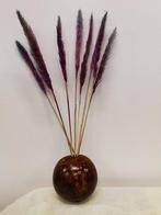 Fluffy Pampas Milka 70gr 75-80cm, Nieuw