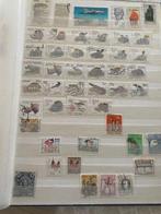 Afrika 1942 - Africa