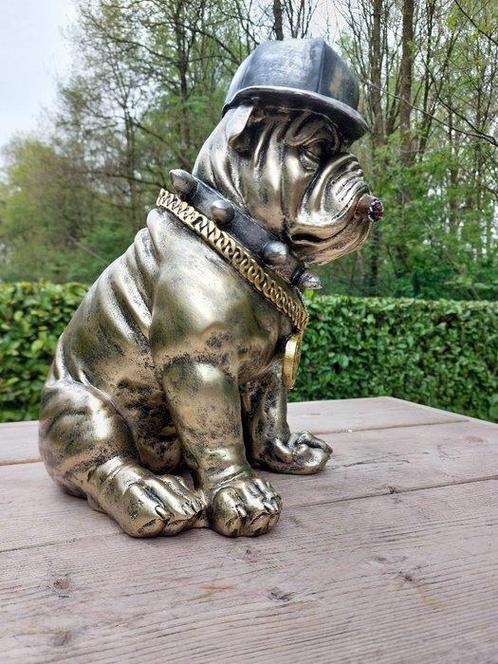 Statue, English bulldog with gold dollar chain - 36 cm -, Antiek en Kunst, Curiosa en Brocante
