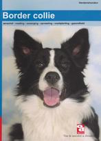 De Border Collie / Over Dieren / 070 9789058210746 J. Hannes, Verzenden, Zo goed als nieuw, J. Hannes