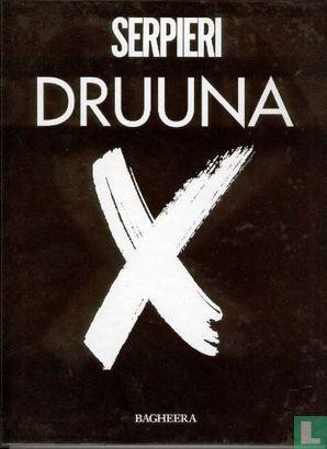 Druuna - X - 1993, Boeken, Stripverhalen, Zo goed als nieuw, Eén stripboek, Verzenden
