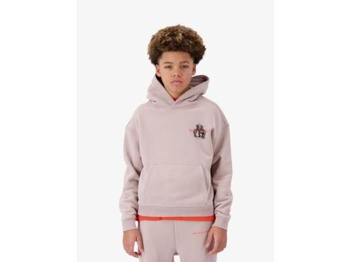 Veiling - Black Bananas JR. 3D Hoodie (Maat 140), Kleding | Heren, Truien en Vesten