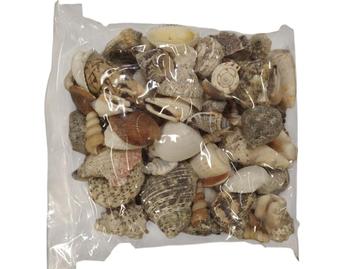 Schelpenmix large 650 gram mooie mix met grotere schelpen