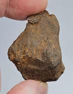 Gebel Kamil meteoriet Niet-gegroepeerd, ijzer. - 75.1 g -, Verzamelen, Mineralen en Fossielen