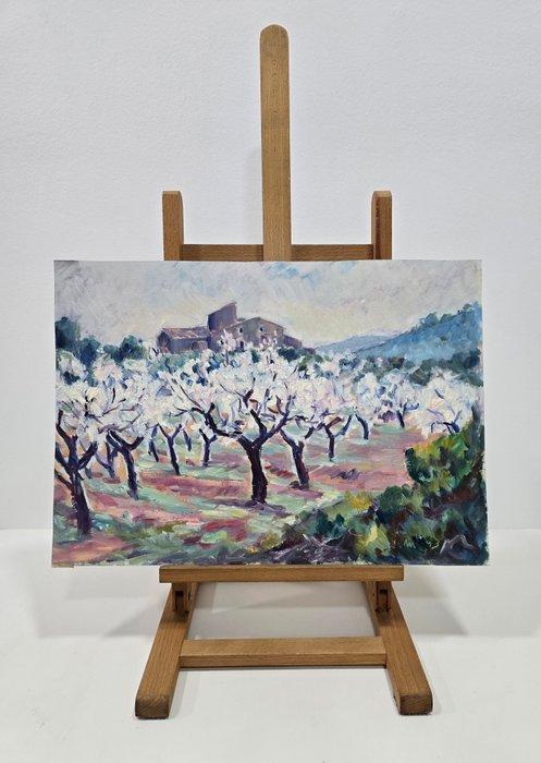 José Mendoza (1943) - NO RESERVE - Campos de luz, Antiek en Kunst, Kunst | Schilderijen | Klassiek