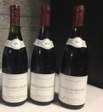 1996 Sylvain Cathiard Vosne Romanée x 2 Nuits Saint-Georges, Verzamelen, Wijnen, Nieuw