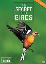 The Secret Life Of Birds (dvd nieuw), Ophalen of Verzenden