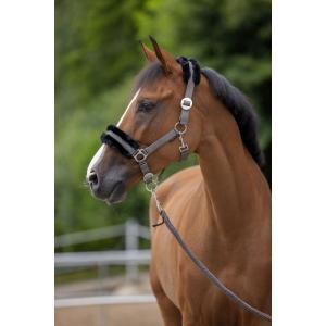 Halster classicsoft pony stone - kerbl, Dieren en Toebehoren, Paarden en Pony's | Overige Paardenspullen
