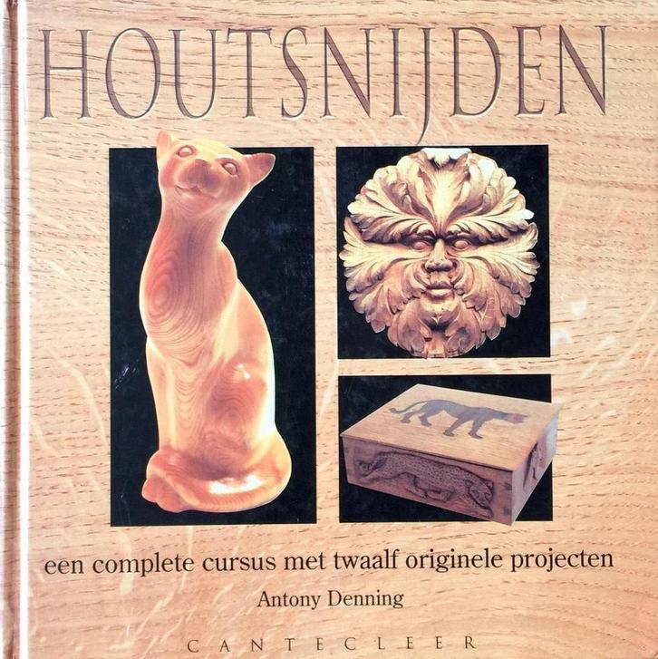 HOUTSNIJDEN 9789021323053 A. Denning, Boeken, Kunst en Cultuur | Beeldend, Gelezen, Verzenden