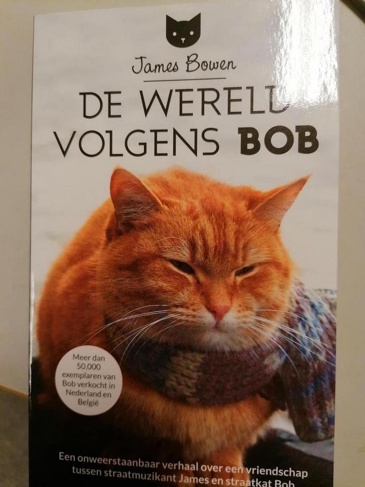 De wereld volgens Bob 9789044358766 James Bowen, Boeken, Politiek en Maatschappij, Gelezen, Verzenden