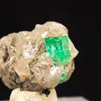 18,55 ct AAA+++ qualité de bijoutier Muzo, émeraude