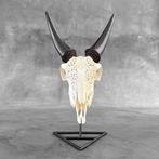 Geen veilingprijs - Authentieke witte handgesneden, Antiek en Kunst