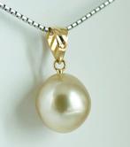 Zonder minimumprijs - Hanger - 18 karaat Geel goud Parel -