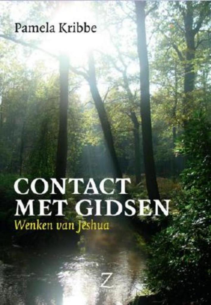 CONTACT MET GIDSEN 9789077478295 Pamela Kribbe, Boeken, Esoterie en Spiritualiteit, Gelezen, Verzenden