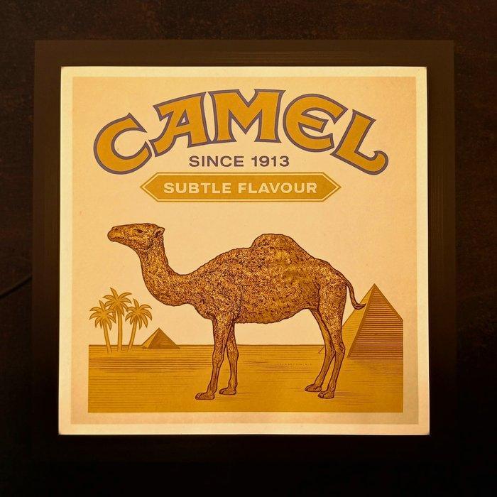 Camel - Lichtreclame bord van Camel - Lichtbord - Plastic,, Antiek en Kunst, Antiek | Wandborden en Tegels