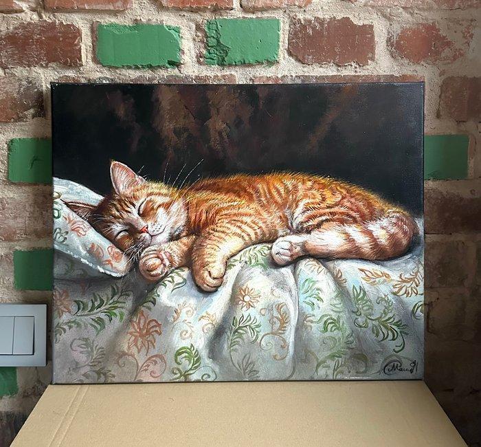 Natalia Mas (XX-XXI) - Ginger tabby cat, Antiek en Kunst, Kunst | Schilderijen | Klassiek