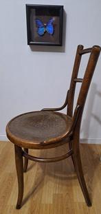 Michael Thonet - Stoel - Hout - Chaise de bistrot