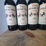1995 x 5 Chateau Berjean Vido & 1989 Chateau le Souley, Verzamelen, Nieuw