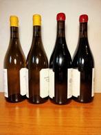 2024 Foradori: Sgarzon Teroldego x2 & Fontanasanta Bianco x2, Collections