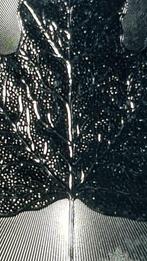 Canada. 5 Dollars 2016 Maple Leaf, 1 Oz (.999) (Zonder, Postzegels en Munten