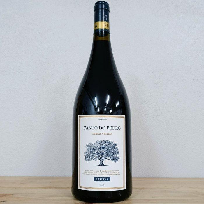 2022 Fiuza, Canto do Pedro Vinhas Velhas - Tejo Reserva - 3, Verzamelen, Wijnen