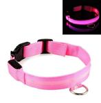 LED Halsband ROZE, Verzenden, Nieuw