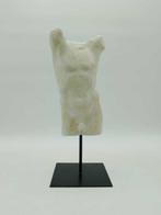 sculptuur, Torso maschile - 39 cm - marmeren stof, Antiek en Kunst