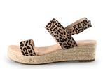 Dolcis Sandalen in maat 42 Overig | 15% korting, Kleding | Dames, Schoenen, Dolcis, Overige kleuren, Verzenden, Sandalen of Muiltjes