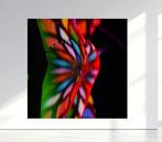 Ben Dauchez - Crazy colors