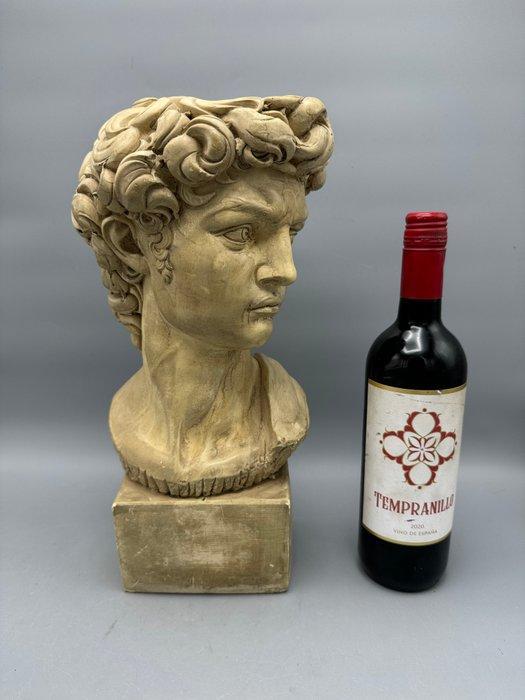 Ggg Zwaar klassiek beeld – Hoofd van Michelangelo’s David -, Antiek en Kunst, Curiosa en Brocante