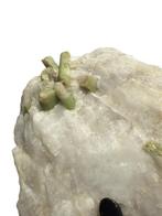 Unique piece of Green Tourmaline in Motherstone - in