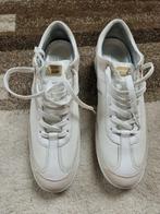 Dolce & Gabbana - Baskets basses - Taille : EU 44, Kleding | Heren, Nieuw